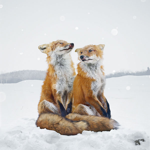 Simen Johan