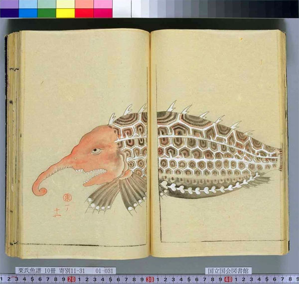 Rare Japanese Books