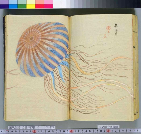 Rare Japanese Books