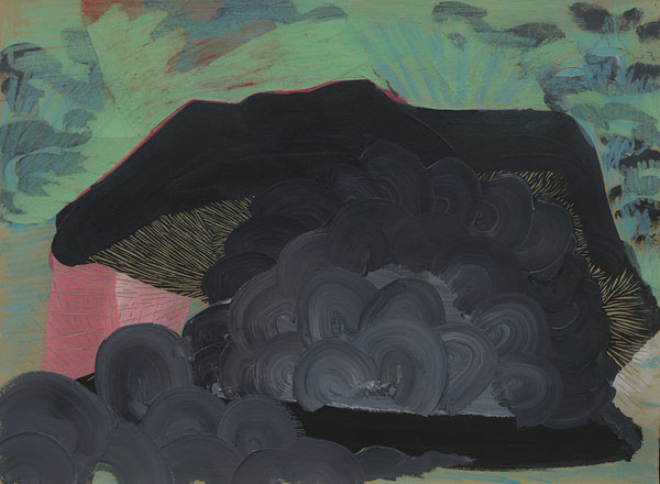Christopher Davison