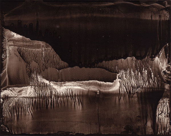 Ronald Flexner