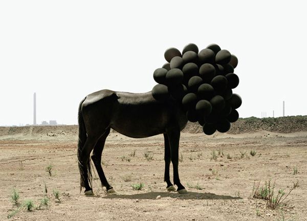 Andrea Galvani