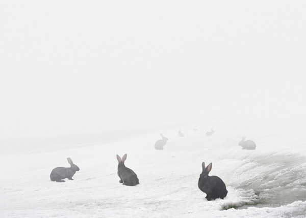 Andrea Galvani