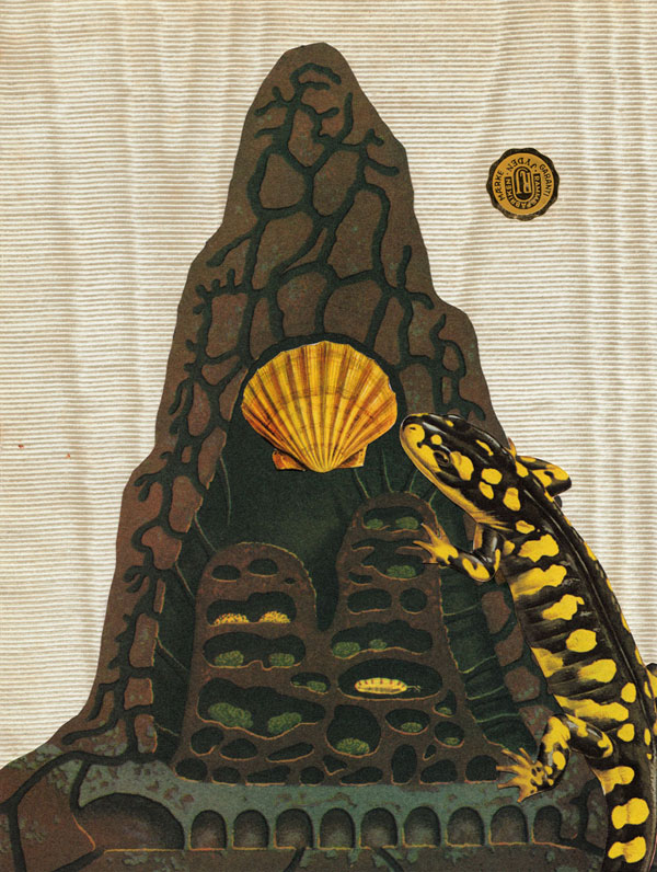 Eduard Bezembinder