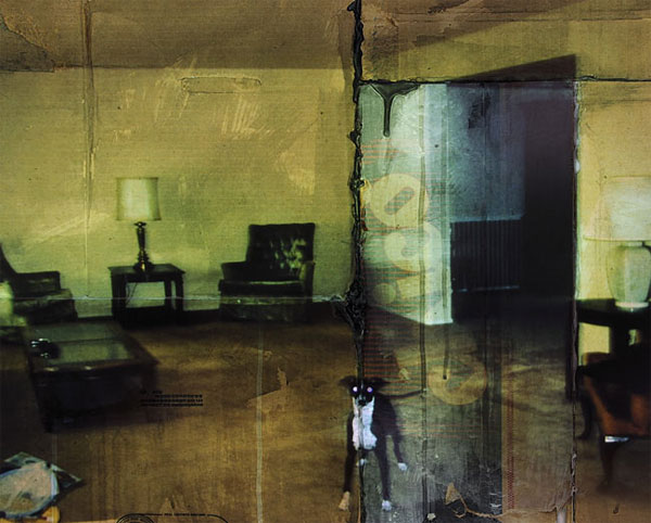Wim Bosch