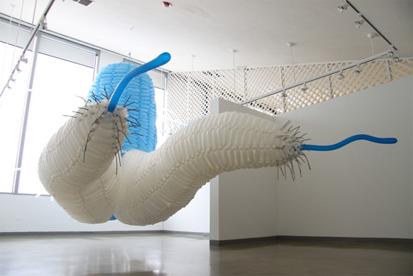 jason hackenwerth