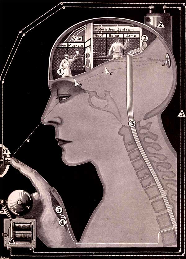 Fritz Kahn