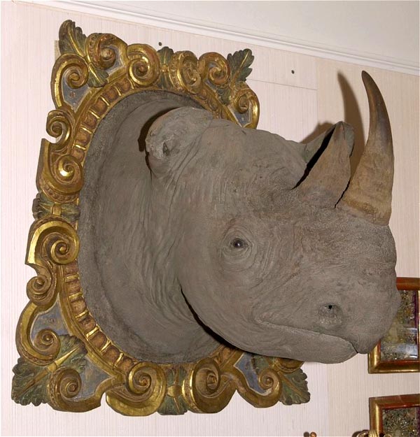 Kunst- und Wunderkammern