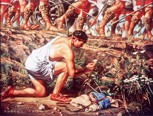 Dioscorides-looks-at-drugs