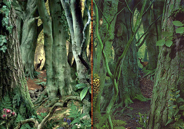 Ruud van Empel