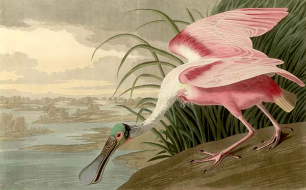 John James Audubon