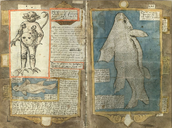 Adriaen Coenen "visboek"