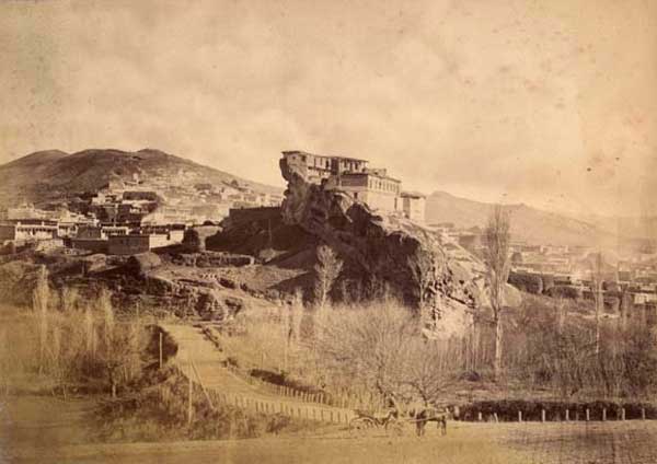 A. Roinashvili