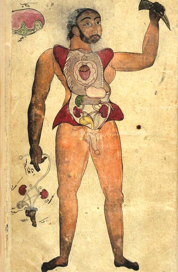 Anonymous Persian