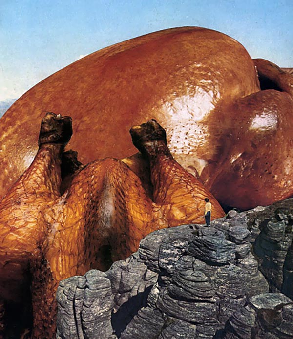 Nicolas Lampert "extreme meat climbing"