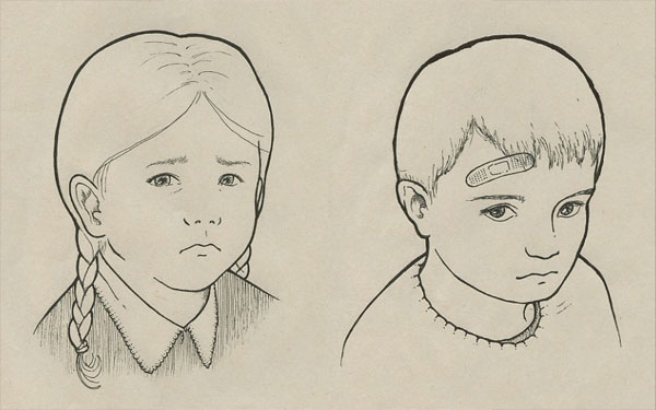 F. Vesolt