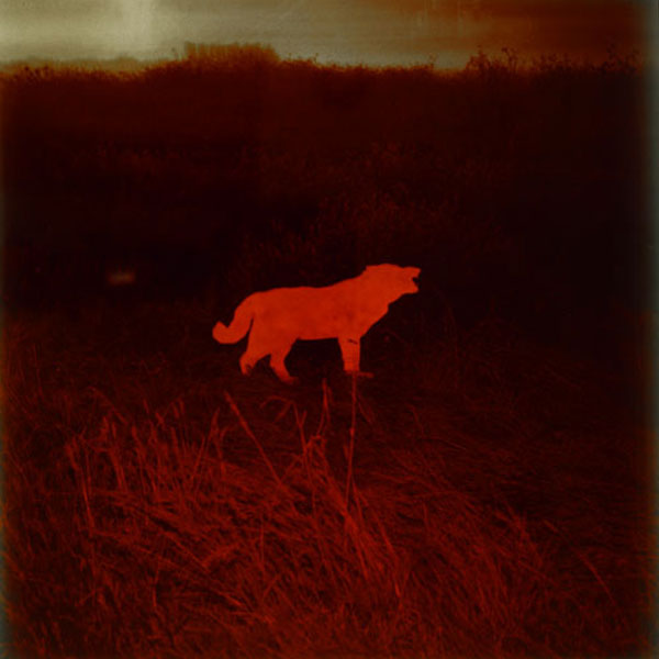 John Divola