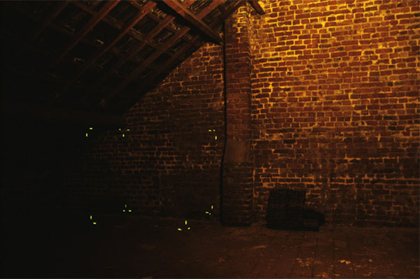 Navid Nuur