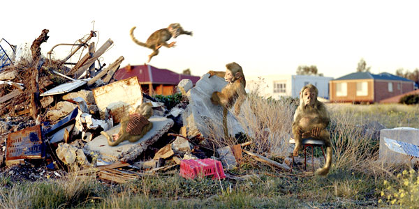 Patricia Piccinini