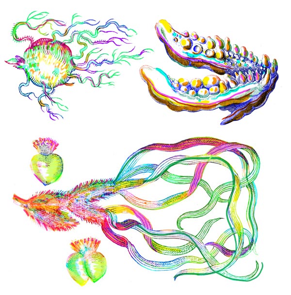 Gerda Steiner & J&ouml;rg Lenzlinger